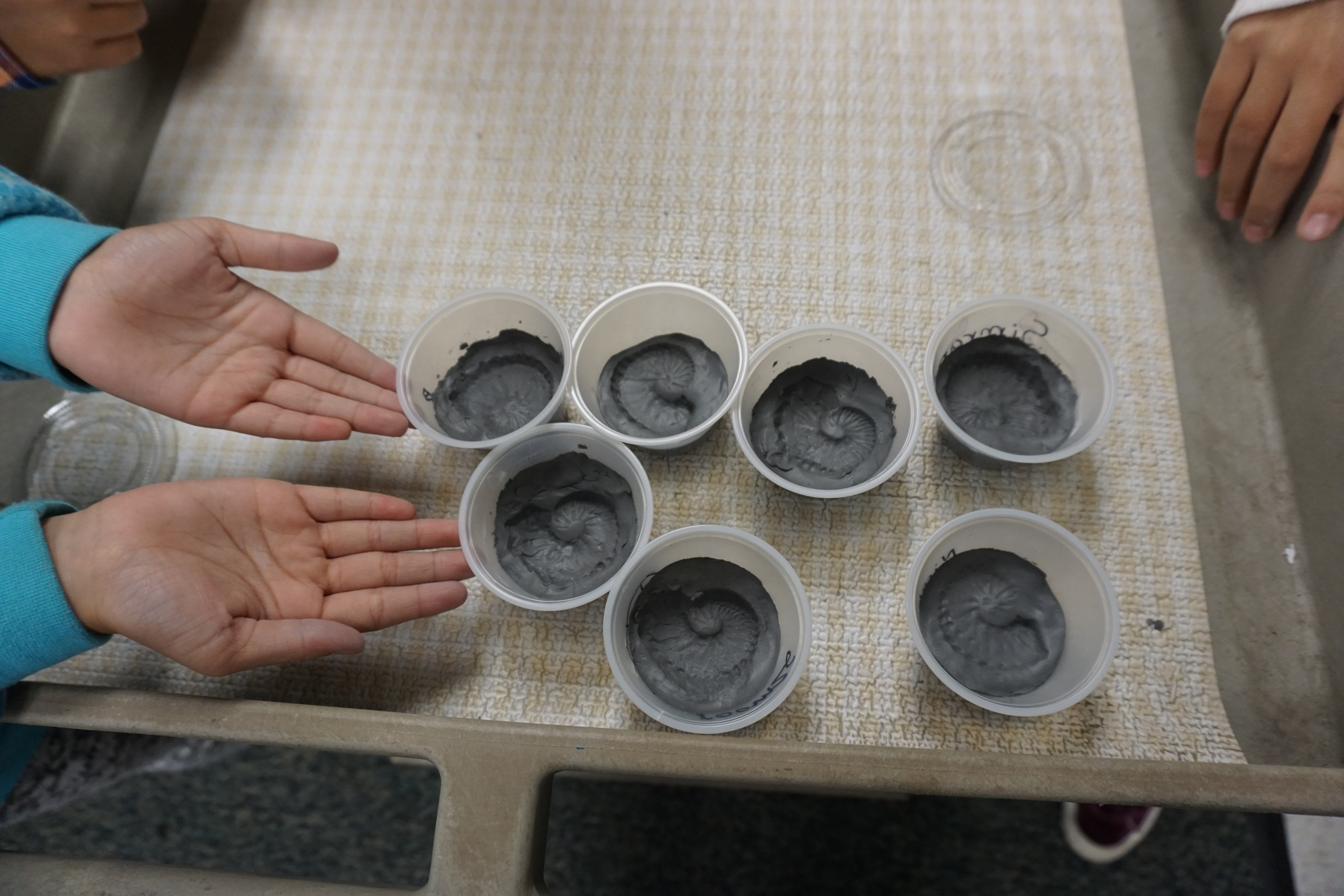 It's a hands-on fossil making day at Patton!