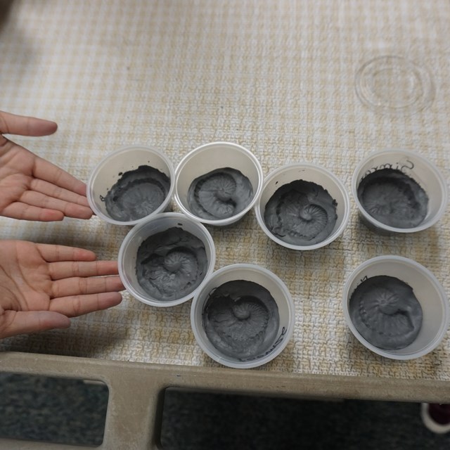 It's a hands-on fossil making day at Patton!