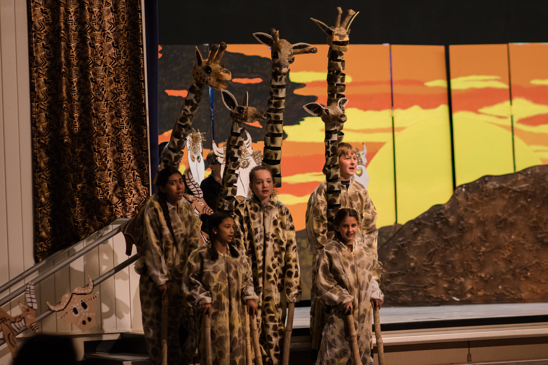 These giraffes proudly put on a performance no one will forget!