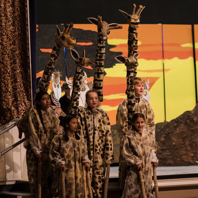 These giraffes proudly put on a performance no one will forget!