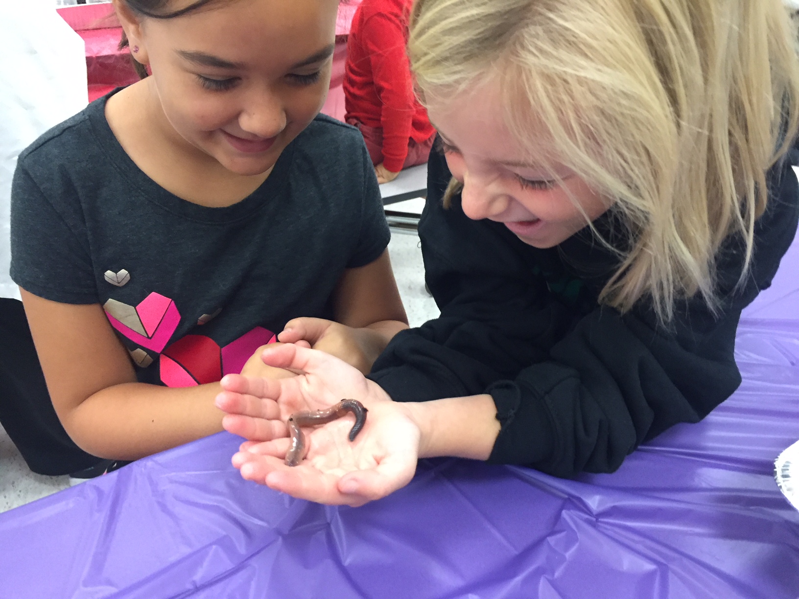 Hands-on assemblies engage students